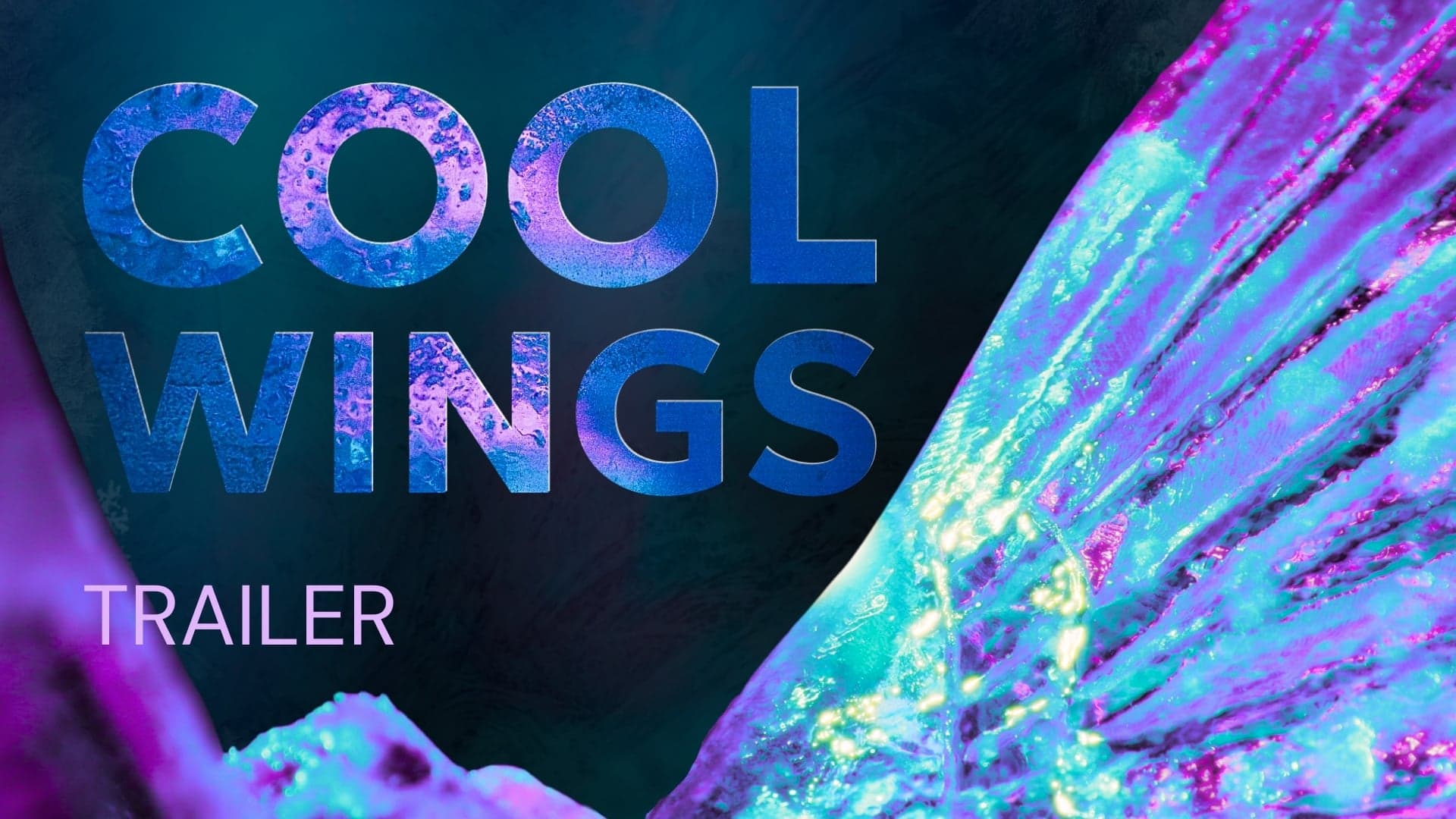 Cool Wings — poster frame